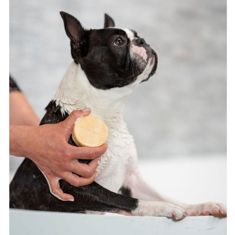 zero waste bar voor hond met korte vacht - Happy Soaps Kudzu eco webshop