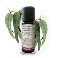 Laboratoire Hévéa Essentiële Olie - Eucalyptus Eucalyptus Globulus