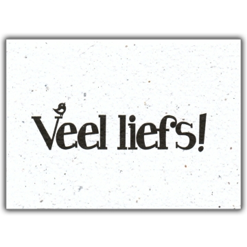 Bloom Your Message Bloeiwenskaart - Veel Liefs Plantbare wenskaart