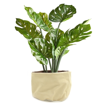 Baski Panier à plantes Large - Pale Apricot Panier à plantes en coton bio avec revêtement imperméable en caoutchouc naturel