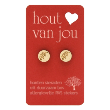 Hout Van Jou Oorknopjes Tak Paar oorknopjes van hout en RVS