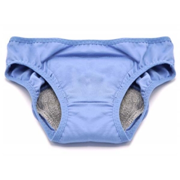 La Rénarde Menstruatieslip - Blauw Superabsorberende menstruatieslip