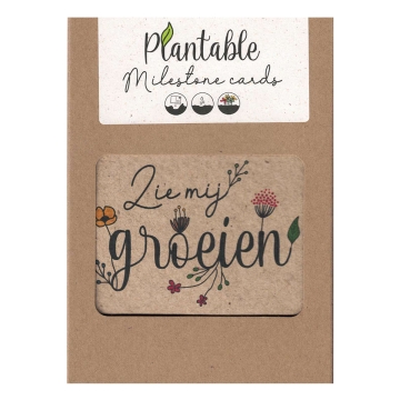 Bloom Your Message Plantbare Milestone Cards Kalender met plantbare maandoverzichten met zaadjes van kruiden en groenten