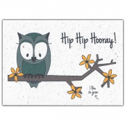 Bloom Your Message Carte de Voeux à Planter - Hip Hip Hooray Owl Carte de voeux du papier semences