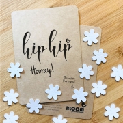 Bloom Your Message Bloeiwenskaart - Hip Hip Hooray - Confetti Plantbare wenskaart met confetti