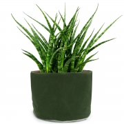Baski Plantenmand Small - Olive Green Plantenmand van bio-katoen met waterdichte coating van natuurrubber