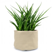 Baski Plantenmand Small - Pale Apricot Plantenmand van bio-katoen met waterdichte coating van natuurrubber