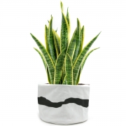 Baski Plantenmand Medium - Ivory Black Plantenmand van bio-katoen met waterdichte coating van natuurrubber