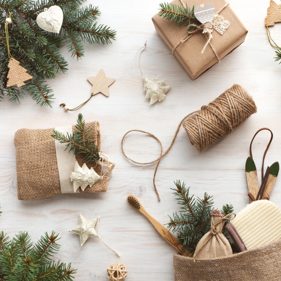 De Kudzu Cadeautips