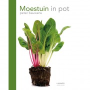Lannoo Moestuin in Pot